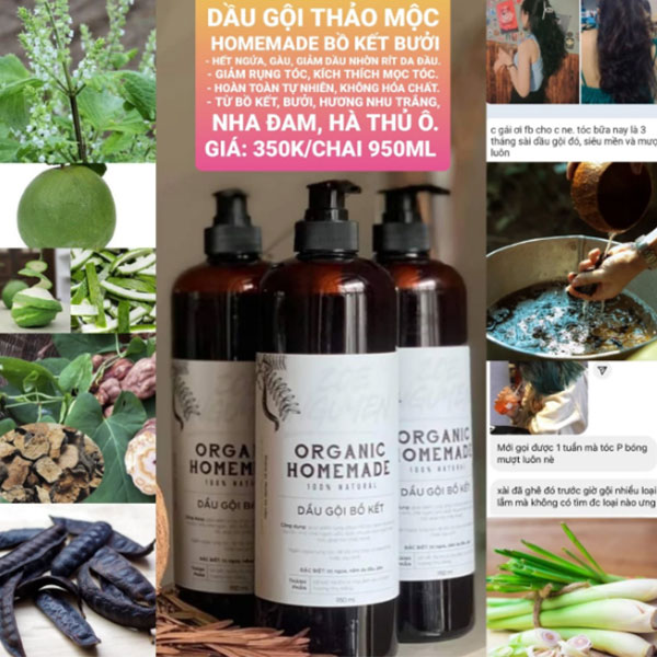 thành phần có trong dầu gội bồ kết bưởi organic homemade